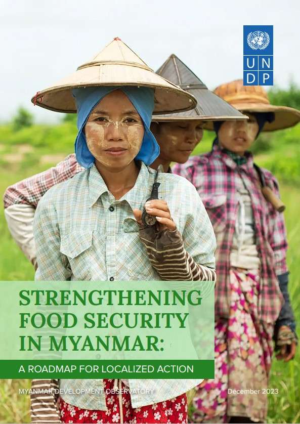 Strengthening Food Security in Myanmar Cover